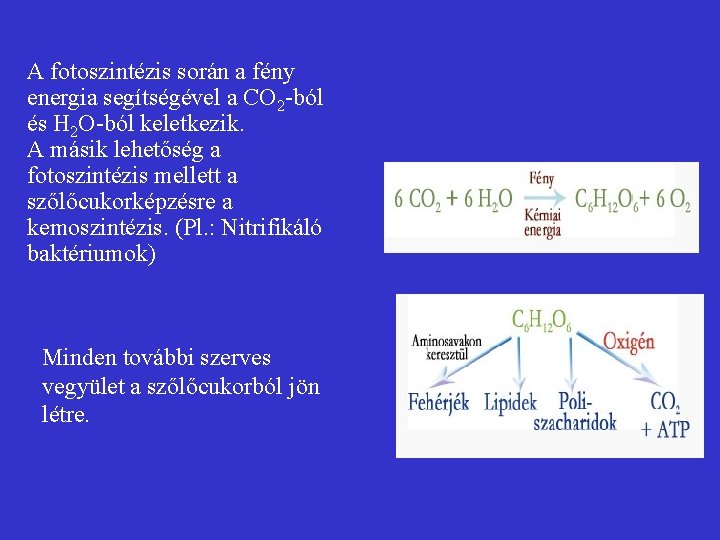 A Föld elsődleges C vegyülete a glükóz A fotoszintézis során a fény energia segítségével