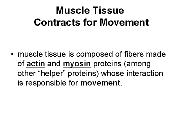 Muscle Tissue Contracts for Movement • muscle tissue is composed of fibers made of