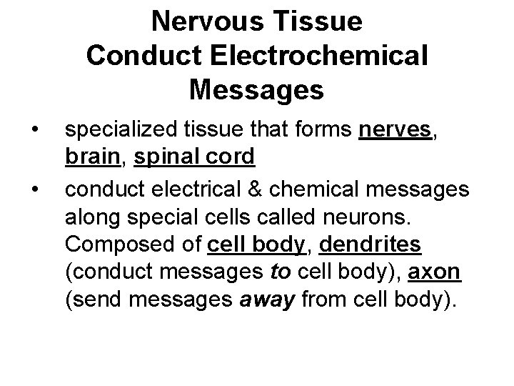 Nervous Tissue Conduct Electrochemical Messages • • specialized tissue that forms nerves, brain, spinal
