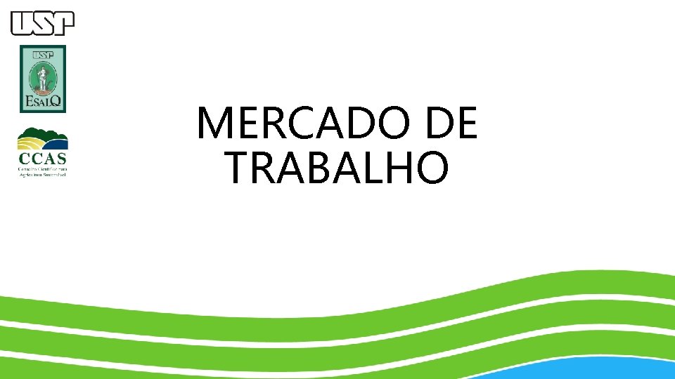 MERCADO DE TRABALHO 
