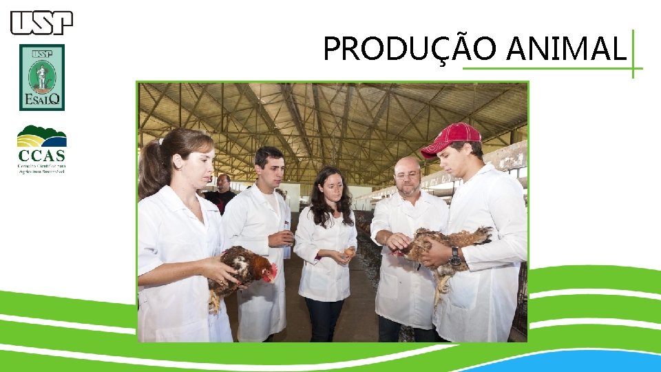 PRODUÇÃO ANIMAL 