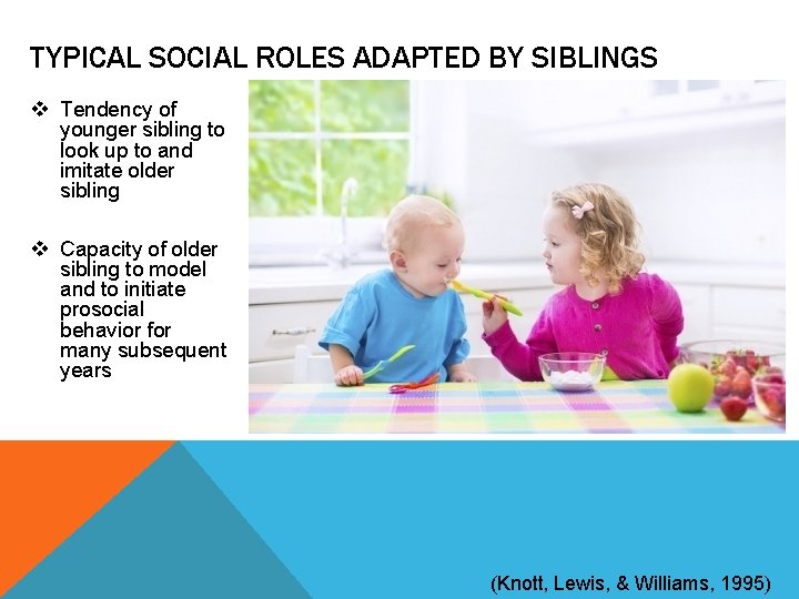 TYPICAL SOCIAL ROLES ADAPTED BY SIBLINGS v Tendency of younger sibling to look up