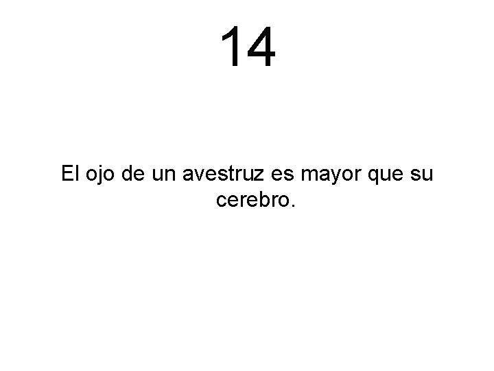 14 El ojo de un avestruz es mayor que su cerebro. 