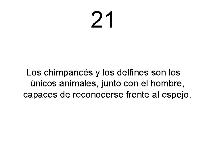 21 Los chimpancés y los delfines son los únicos animales, junto con el hombre,