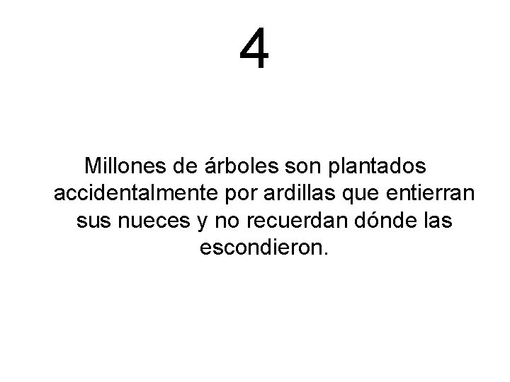 4 Millones de árboles son plantados accidentalmente por ardillas que entierran sus nueces y