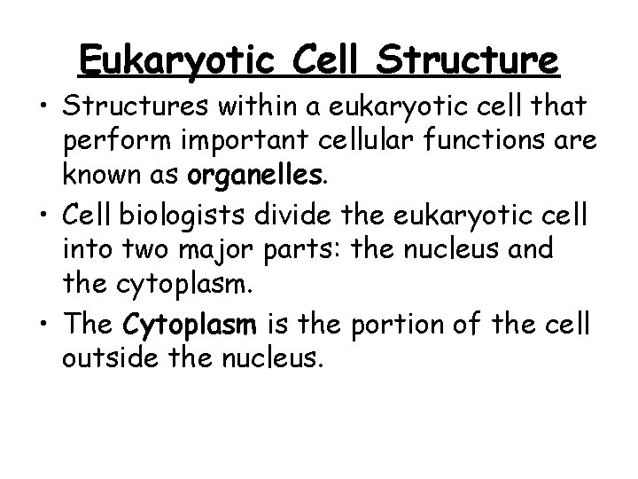 Eukaryotic Cell Structure • Structures within a eukaryotic cell that perform important cellular functions Eukaryotic Cell Structure • Structures within a eukaryotic cell that perform important cellular functions