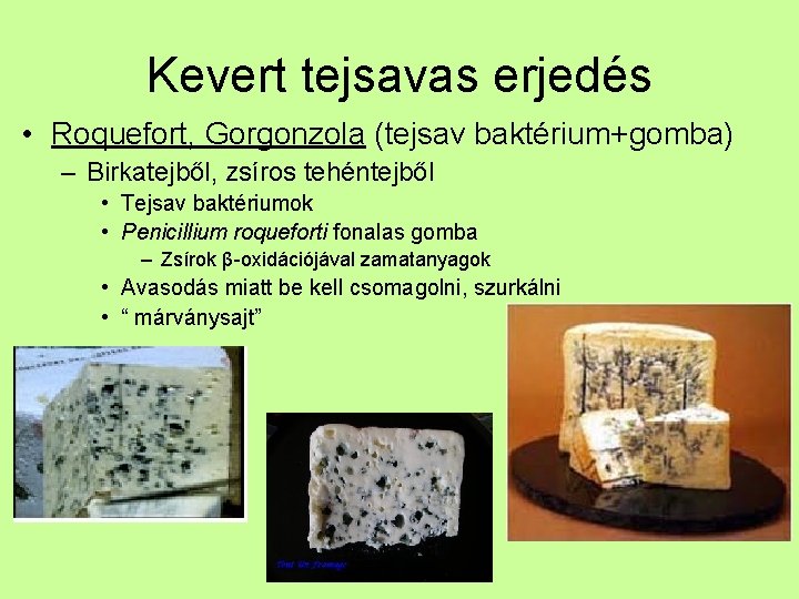 Kevert tejsavas erjedés • Roquefort, Gorgonzola (tejsav baktérium+gomba) – Birkatejből, zsíros tehéntejből • Tejsav