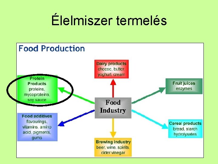 Élelmiszer termelés 