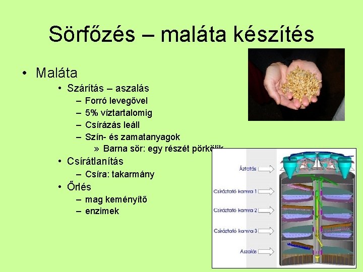 Sörfőzés – maláta készítés • Maláta • Szárítás – aszalás – – Forró levegővel