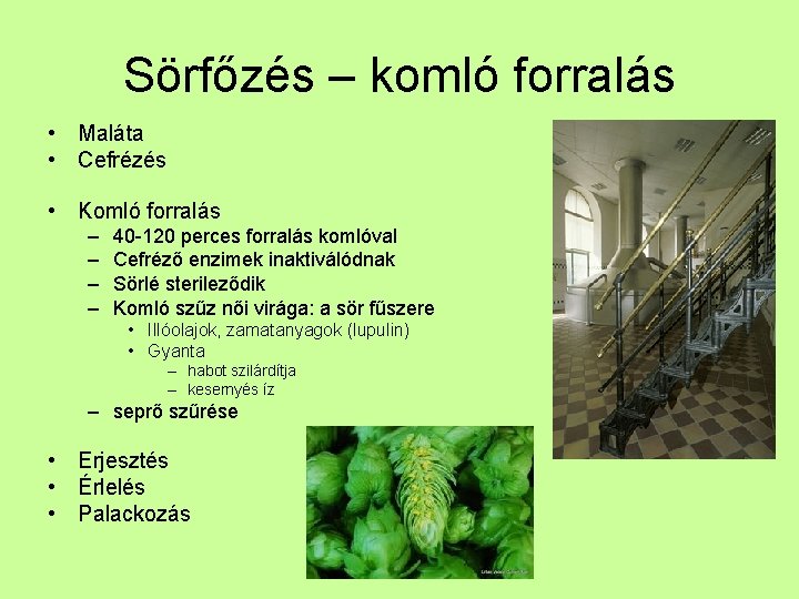 Sörfőzés – komló forralás • Maláta • Cefrézés • Komló forralás – – 40