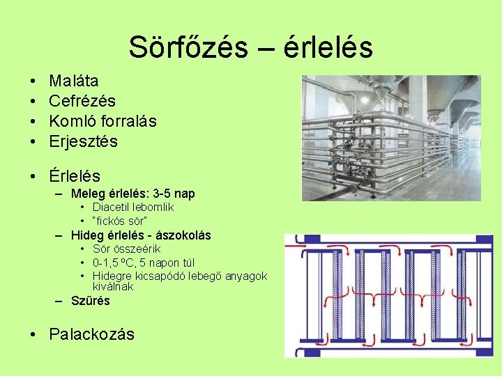 Sörfőzés – érlelés • • Maláta Cefrézés Komló forralás Erjesztés • Érlelés – Meleg