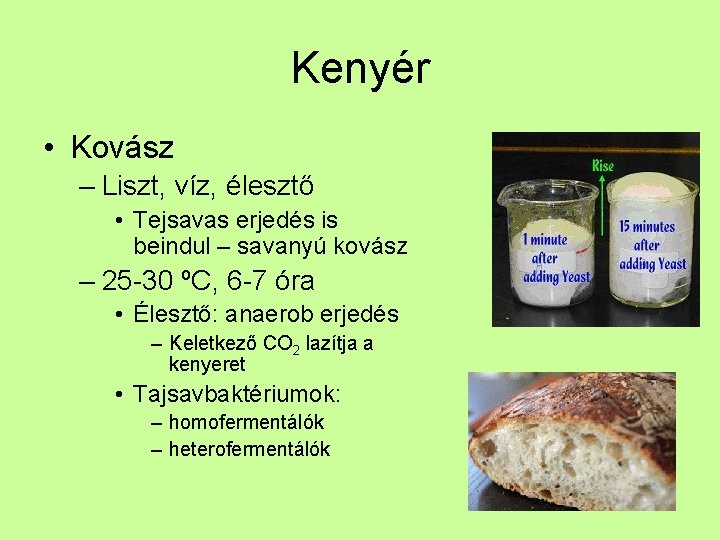 Kenyér • Kovász – Liszt, víz, élesztő • Tejsavas erjedés is beindul – savanyú