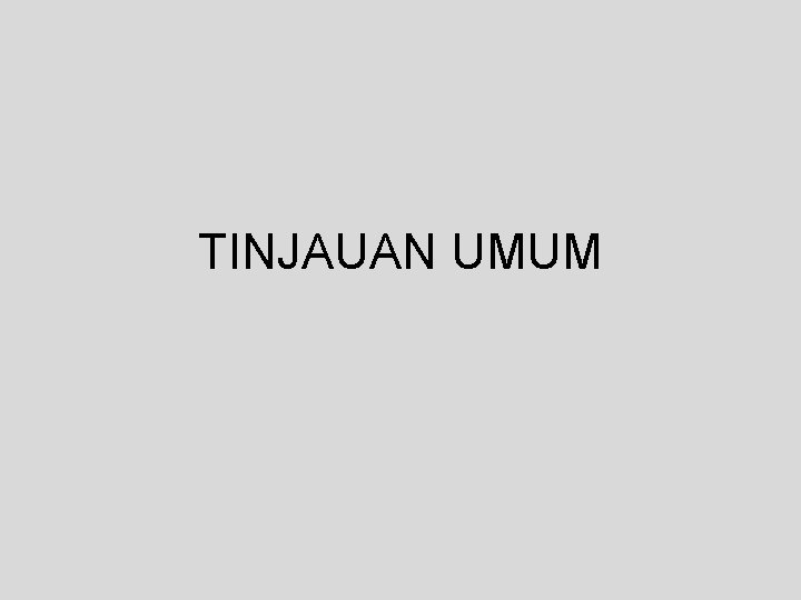 TINJAUAN UMUM 