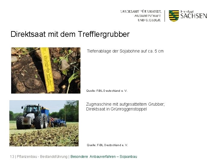 Direktsaat mit dem Trefflergrubber Tiefenablage der Sojabohne auf ca. 5 cm Quelle: Fi. BL