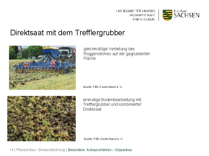 Direktsaat mit dem Trefflergrubber gleichmäßige Verteilung des Roggenstrohes auf der gegrubberten Fläche Quelle: Fi.