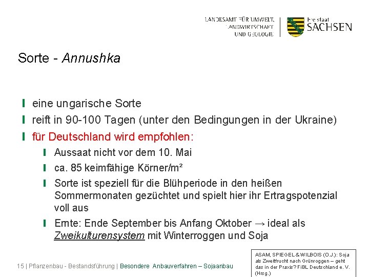 Sorte - Annushka ❙ eine ungarische Sorte ❙ reift in 90 -100 Tagen (unter