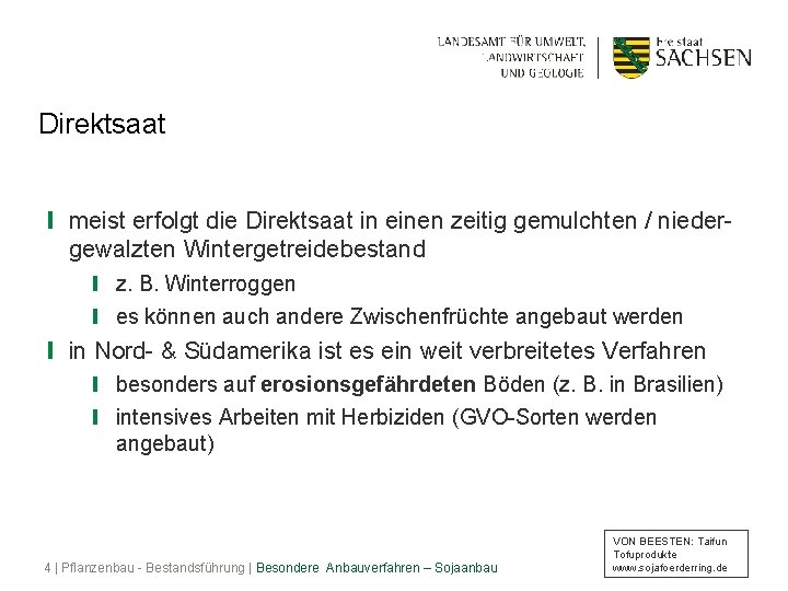 Direktsaat ❙ meist erfolgt die Direktsaat in einen zeitig gemulchten / niedergewalzten Wintergetreidebestand ❙