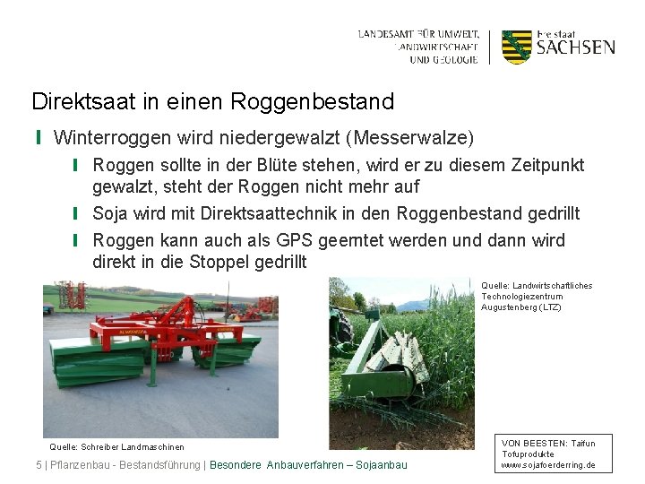 Direktsaat in einen Roggenbestand ❙ Winterroggen wird niedergewalzt (Messerwalze) ❙ Roggen sollte in der