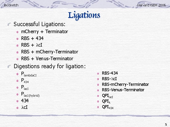 Bio. Sketch Harvard i. GEM 2005 Successful Ligations: Ligations m. Cherry + Terminator RBS