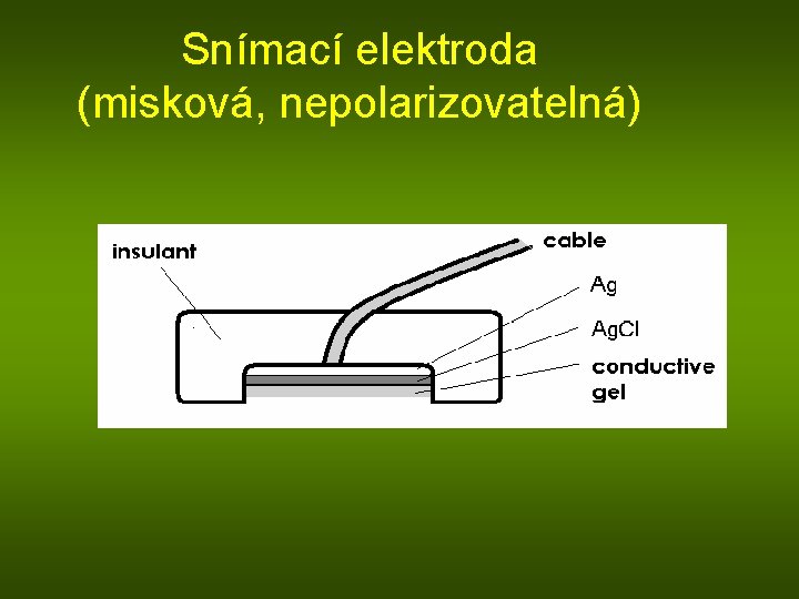 Snímací elektroda (misková, nepolarizovatelná) 