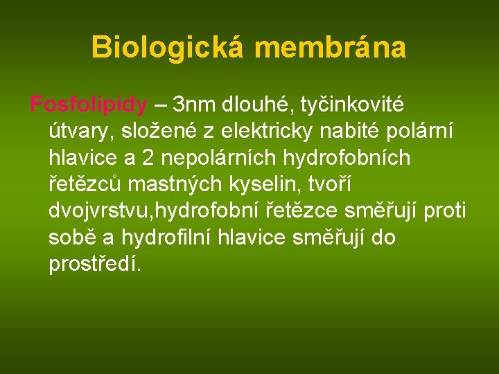 Biologická membrána Fosfolipidy – 3 nm dlouhé, tyčinkovité útvary, složené z elektricky nabité polární