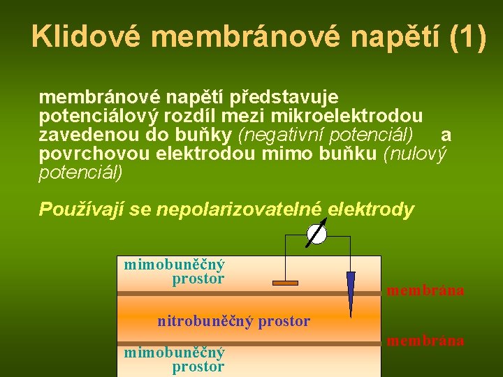 Klidové membránové napětí (1) membránové napětí představuje membránové napětí potenciálový rozdíl mezi mikroelektrodou zavedenou