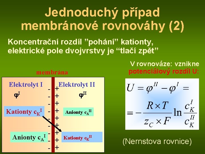 Jednoduchý případ membránové rovnováhy (2) Koncentrační rozdíl ”pohání” kationty, elektrické pole dvojvrstvy je “tlačí