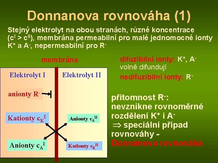 Donnanova rovnováha (1) Stejný elektrolyt na obou stranách, různé koncentrace (c. I > c.