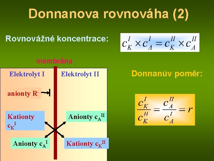 Donnanova rovnováha (2) Rovnovážné koncentrace: membrána Elektrolyt II anionty RKationty c KI Anionty c.