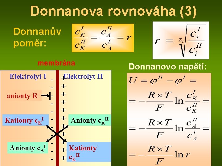 Donnanova rovnováha (3) Donnanův poměr: membrána Elektrolyt I anionty RKationty c. KI I Anionty