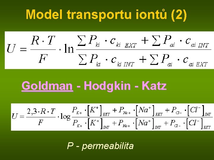 Model transportu iontů (2) Goldman - Hodgkin - Katz P - permeabilita 