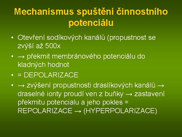 Mechanismus spuštění činnostního potenciálu • Otevření sodíkových kanálů (propustnost se zvýší až 500 x