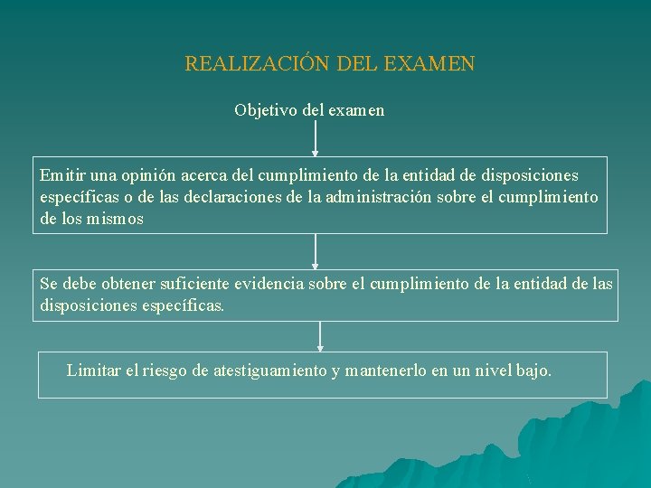 REALIZACIÓN DEL EXAMEN Objetivo del examen Emitir una opinión acerca del cumplimiento de la
