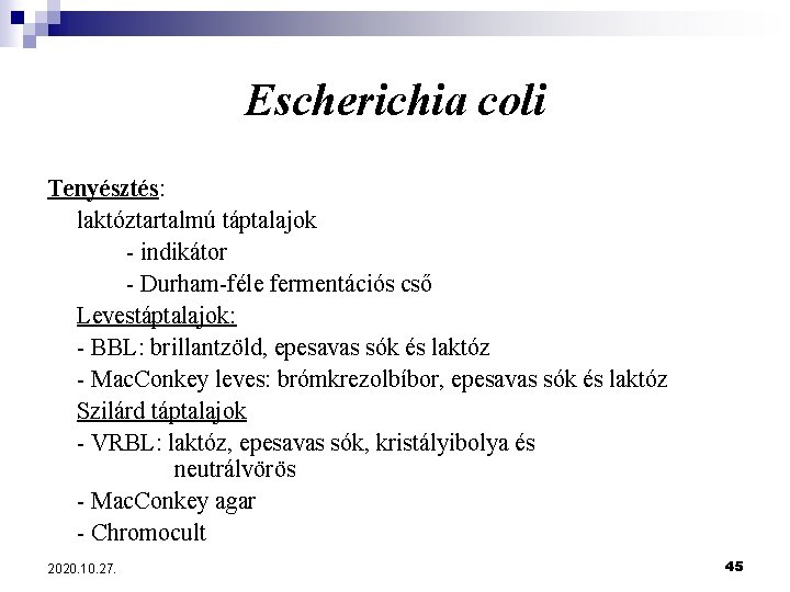 Escherichia coli Tenyésztés: laktóztartalmú táptalajok - indikátor - Durham-féle fermentációs cső Levestáptalajok: - BBL: