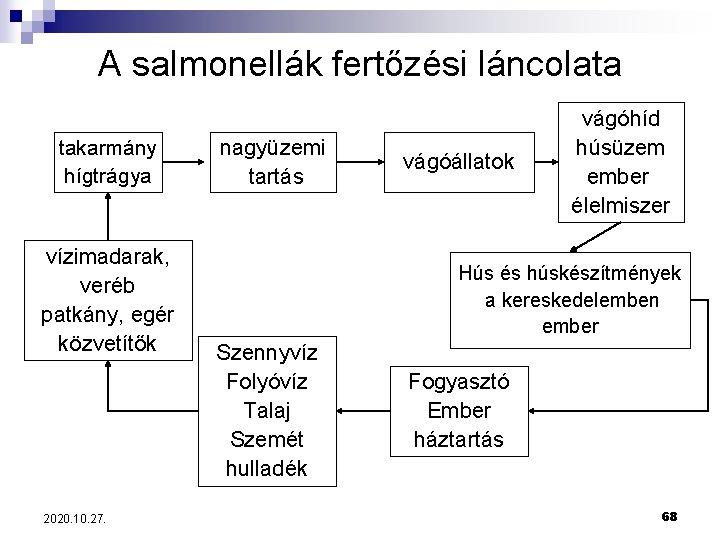 A salmonellák fertőzési láncolata takarmány hígtrágya vízimadarak, veréb patkány, egér közvetítők 2020. 10. 27.