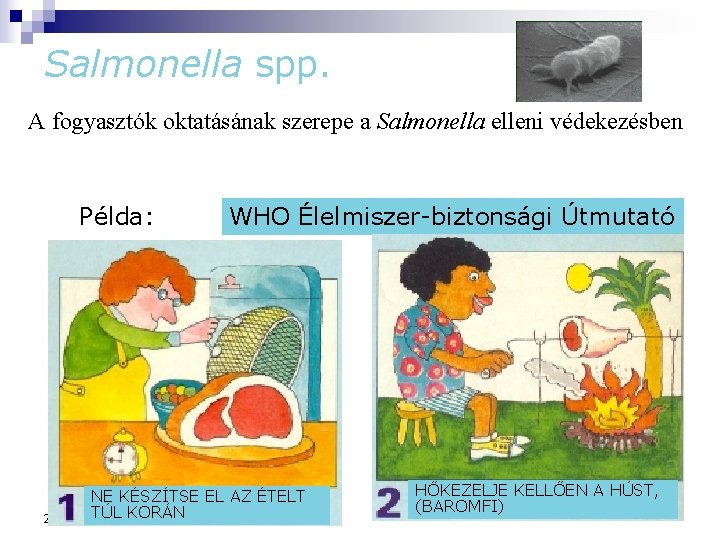 Salmonella spp. A fogyasztók oktatásának szerepe a Salmonella elleni védekezésben Példa: WHO Élelmiszer-biztonsági Útmutató