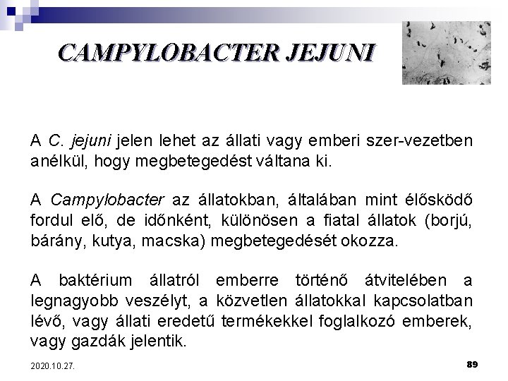 CAMPYLOBACTER JEJUNI A C. jejuni jelen lehet az állati vagy emberi szer-vezetben anélkül, hogy