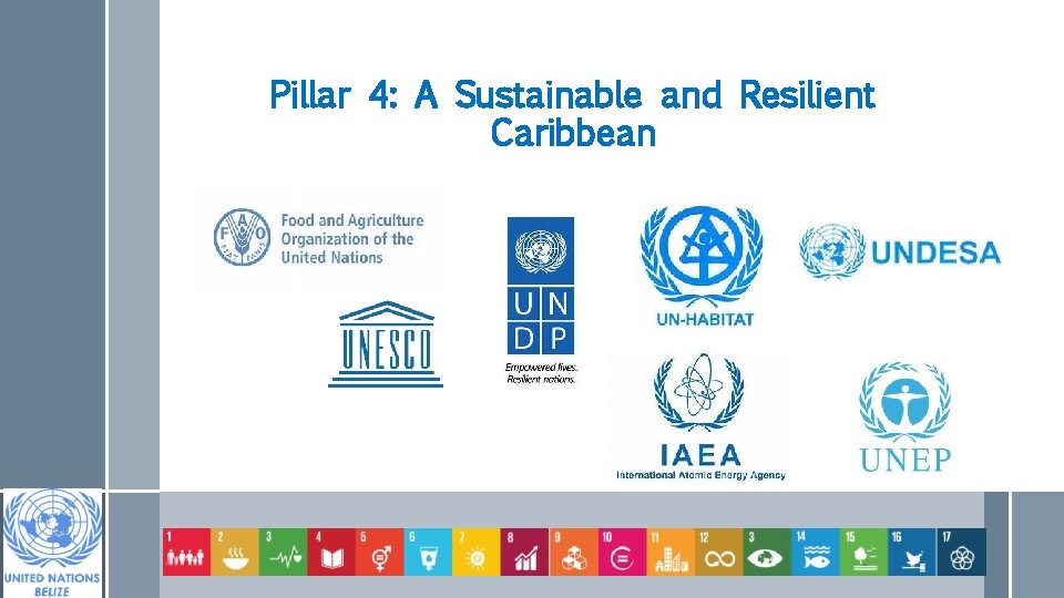 Pillar 4: A Sustainable and Resilient Caribbean 