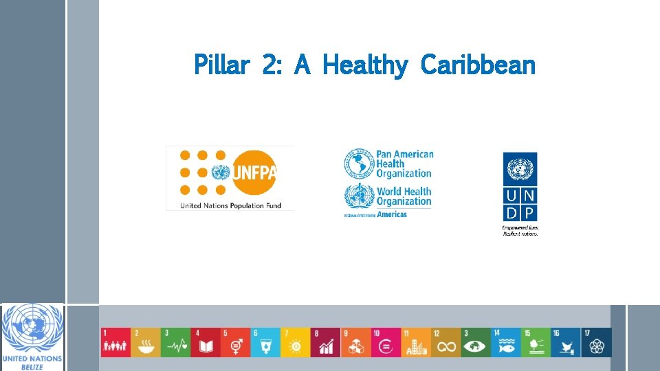 Pillar 2: A Healthy Caribbean 