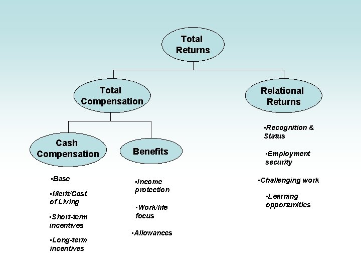 Total Returns Total Compensation Cash Compensation • Base • Merit/Cost of Living • Short-term