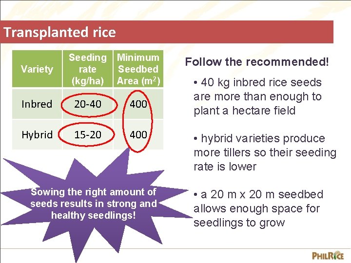 Transplanted rice Seeding rate (kg/ha) Minimum Seedbed Area (m 2) Inbred 20 -40 400