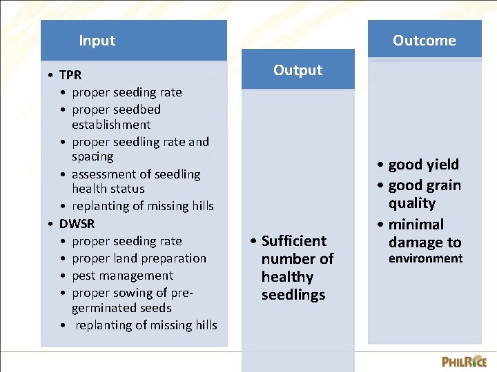 Input • TPR • proper seeding rate • proper seedbed establishment • proper seedling