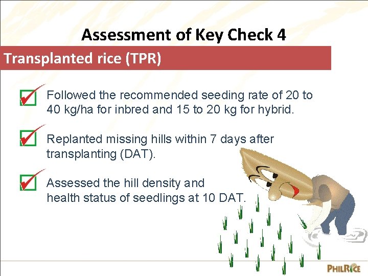 Assessment of Key Check 4 Transplanted rice (TPR) Followed the recommended seeding rate of