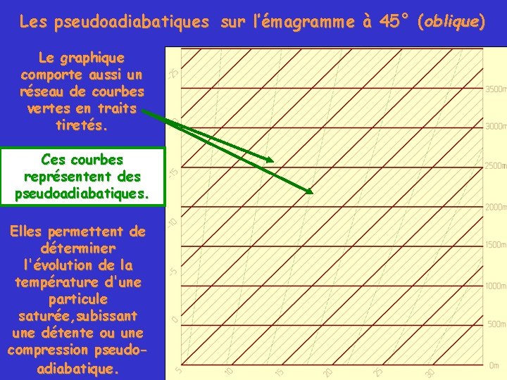 Les pseudoadiabatiques sur l’émagramme à 45° (oblique) Le graphique comporte aussi un réseau de