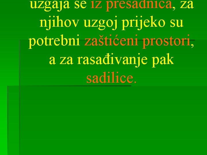 uzgaja se iz presadnica, za njihov uzgoj prijeko su potrebni zaštićeni prostori, a za