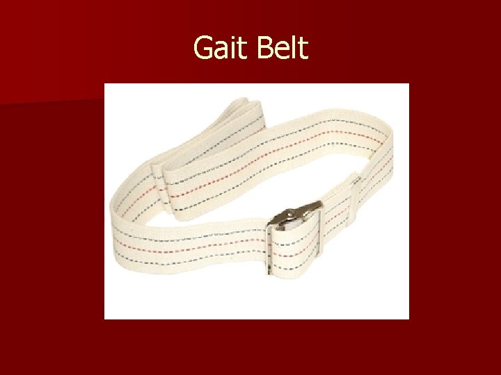 Gait Belt 