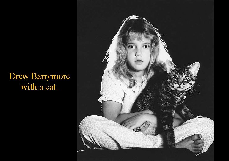 Drew Barrymore with a cat. 