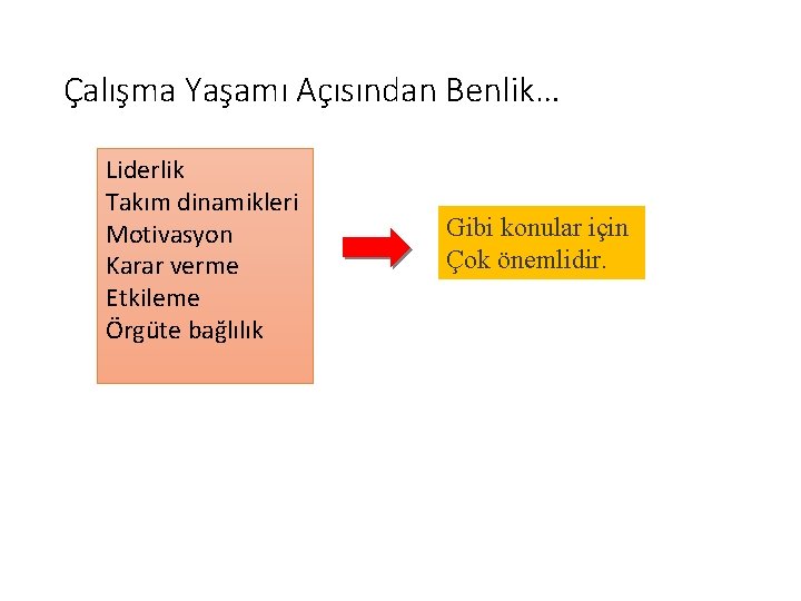 Çalışma Yaşamı Açısından Benlik… Liderlik Takım dinamikleri Motivasyon Karar verme Etkileme Örgüte bağlılık Gibi