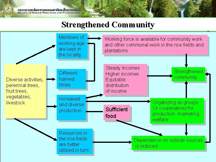 Strengthened Community Diverse activities, perennial trees, fruit trees, vegetables, livestock Members of working age