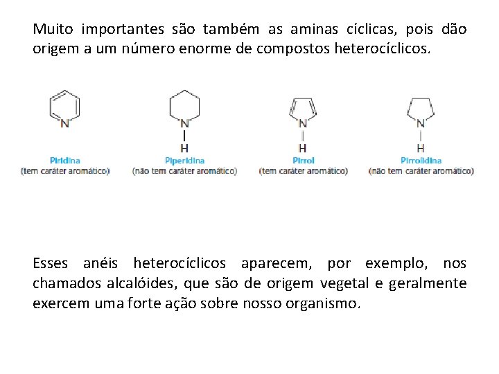 Muito importantes são também as aminas cíclicas, pois dão origem a um número enorme